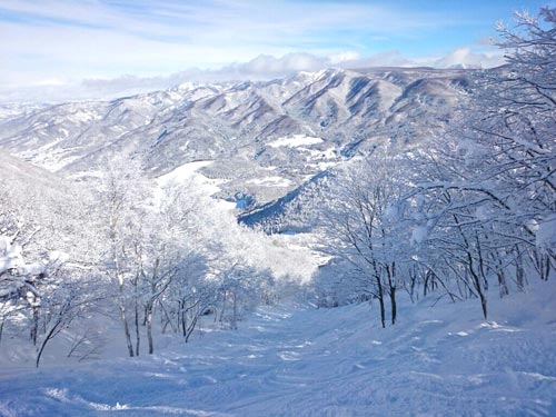 よませ温泉スキー場とX-JAM高井富士は相互に滑り込める♪